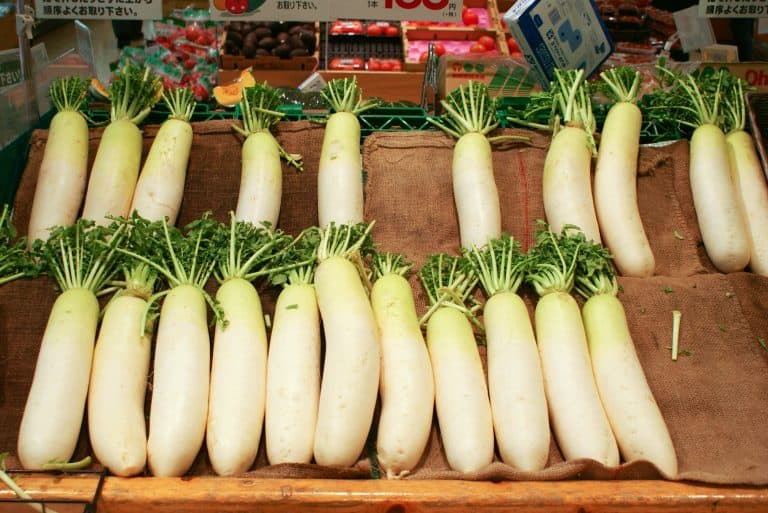 Daikon no Nimono (大根の煮物) – duszona rzodkiew daikon
